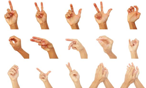 istock Collection of hands in various poses on a white background 2155136367