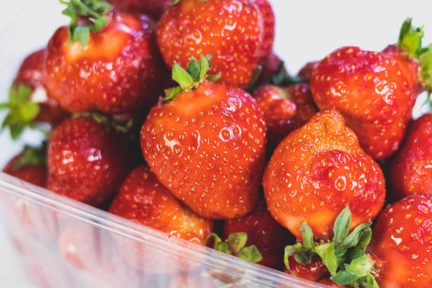 istock Fresh red strawberries in a package on white background. 2155136453