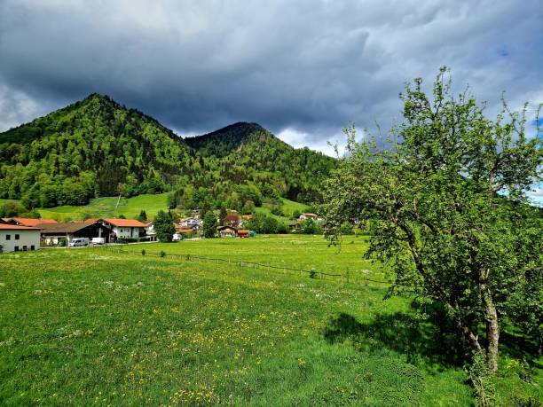 istock Ruhpolding - meadow in summertime 2155138391