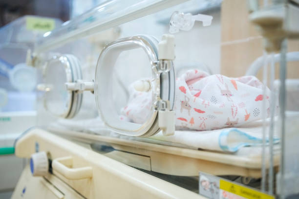 istock Premature newborn baby inside incubator at NICU 2155138400