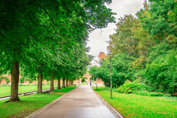 istock beautiful summer view in the park, Ingolstadt 2155138765