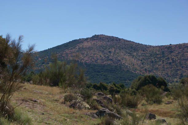 istock landscape, view, nature, plants, spring, flora, spain, trees, mountains, national park, 2155139028