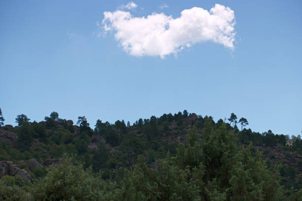 ...summer mountain landscape in the mountains near madrid, spain