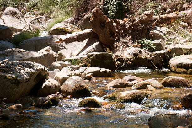 ...summer mountain landscape in the mountains near madrid, spain