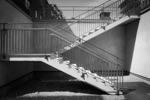 view of the ascending indoor staircase in monochrome