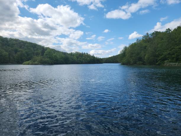 istock Forest around lake in national park 2155141392