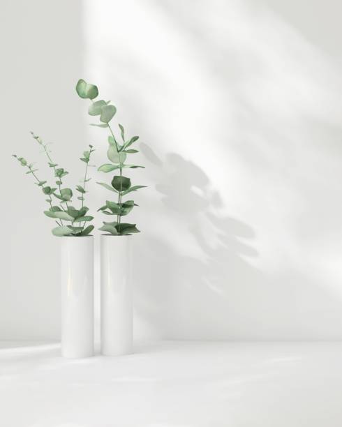 istock Beautiful tree twig in modern design vase on white table counter in dappled sunlight, leaf foliage shadow 2155141733