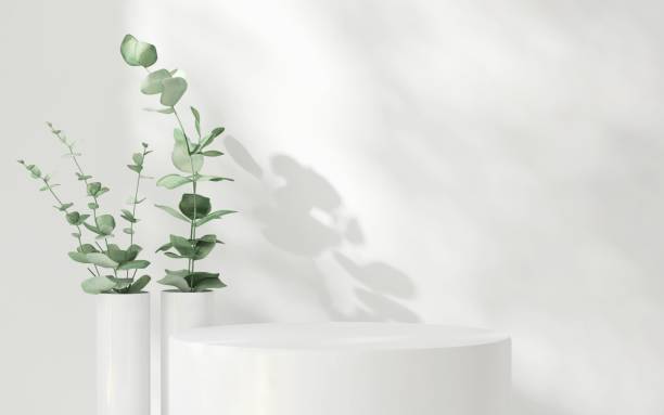 istock White podium, tree twig in vase on counter, soft beautiful dappled sunlight, leaf shadow on wall 2155141755