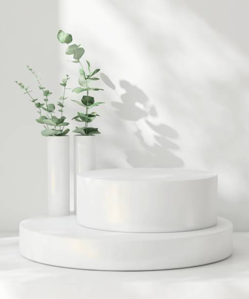 istock Two white podium, tree twig in vase on counter, soft beautiful dappled sunlight, leaf shadow 2155141761