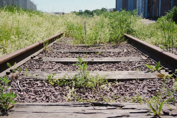 istock Close up of a overgrown railroad 2155143692