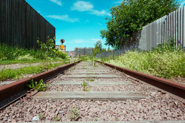A view of railway tracks stretching into the distance, flanked by greenery and bushes in a rural area. The perspective emphasizes the long, straight path of the tracks as they lead towards distant hills under an overcast sky, capturing the essence of quiet countryside travel.