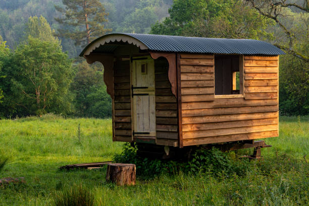 istock Vintage shepherds hut in a rural setting lit by warm afternoon sunlight 2155147877