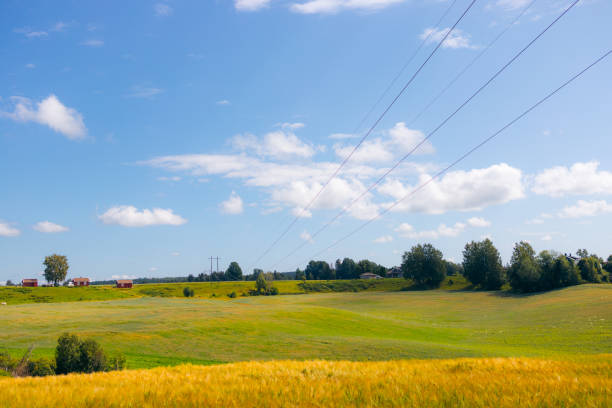 Colorful autumn sky meadow with green field, trees, and electric poles in a row