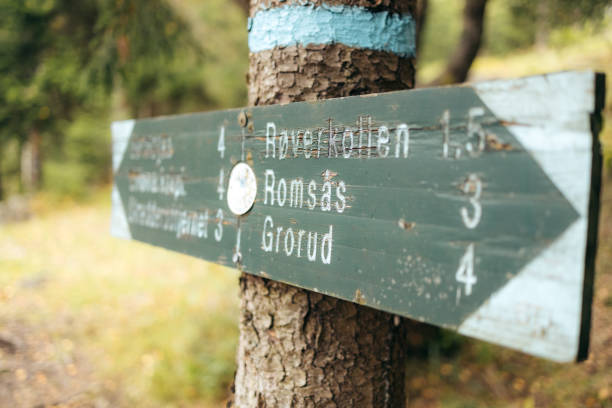 istock A wooden sign hanging on a tree in a Norwegian forest, with directions to different walking paths to different locations 2155154668