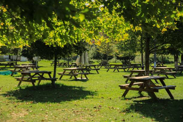 istock Benches waiting for picnic guests 2155157625