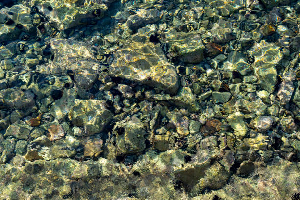 istock The stone covered harbour floor, Kolocep Island, Croatia 2155158560