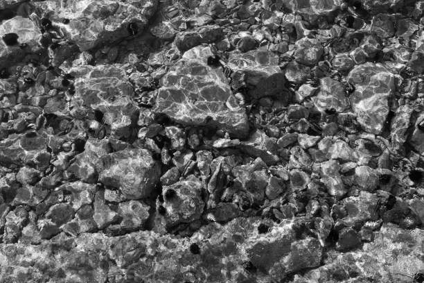 The stone covered harbour floor, Kolocep Island, Croatia.