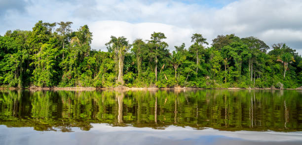 The Suriname river is the way for public transport in the inlands of Suriname