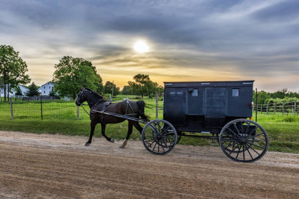 istock Amish Horse and Buggy Early Morning 2155169877