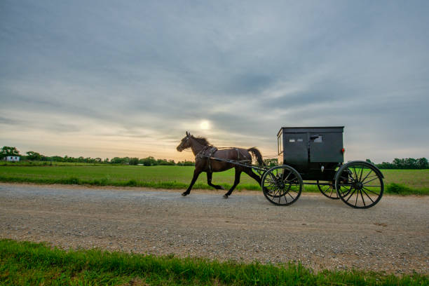 istock An Amish Horse and buggy in early morning 2155169946