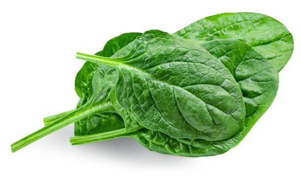 istock Spinach leaves isolated on white background. Baby Spinach leaf  Flat lay. Top view. 2155172599