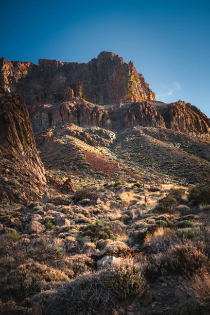 istock Hiking trail on Tenerife 2155175322