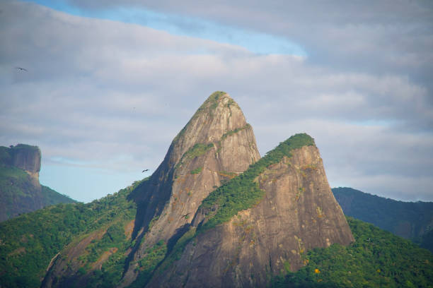 landscape in the mountains - Rio de Janeiro