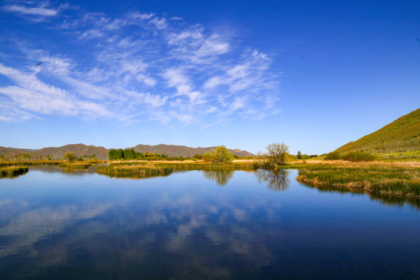 World class fly fishing on Silver Creek near Sun Valley, Idaho