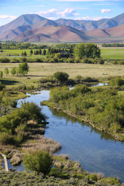 The Nature Conservancy section of Silver Creek, Idaho