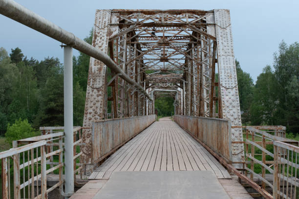 an iron bridge over a river in a green forest