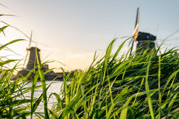 Rural landscape with windmills at golden hour.