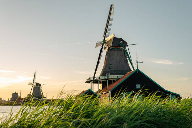 istock Rural landscape with windmills at golden hour. 2155184532