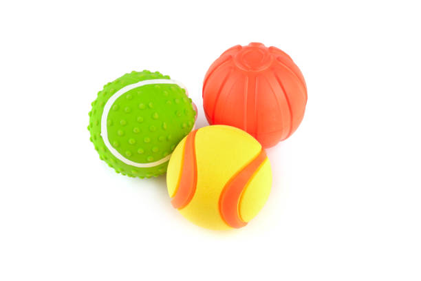 istock Set of dog toys isolated on white. 2155186334