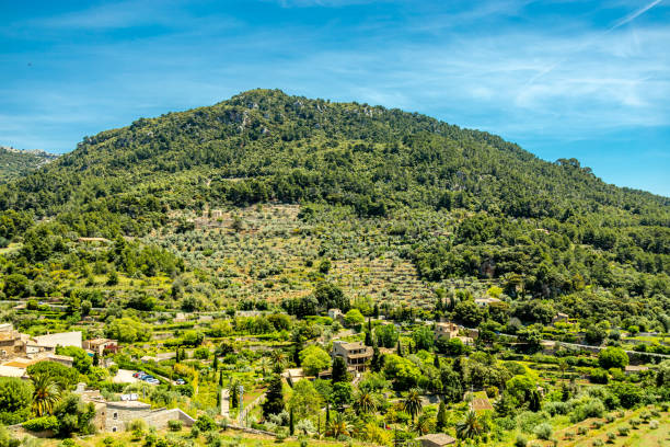 Short stopover in the beautiful small town of Valldemossa in the north-west of the island Serra de Tramuntana region - Mallorca - Spain