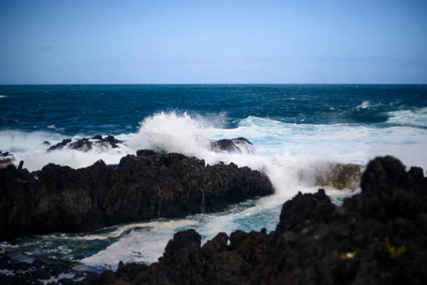 istock Seashore and natural pools of the Canary islands 2155188006