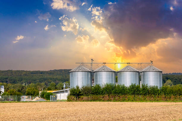 four silos in rural area at the field in spring time with green field in foreground and blue sky