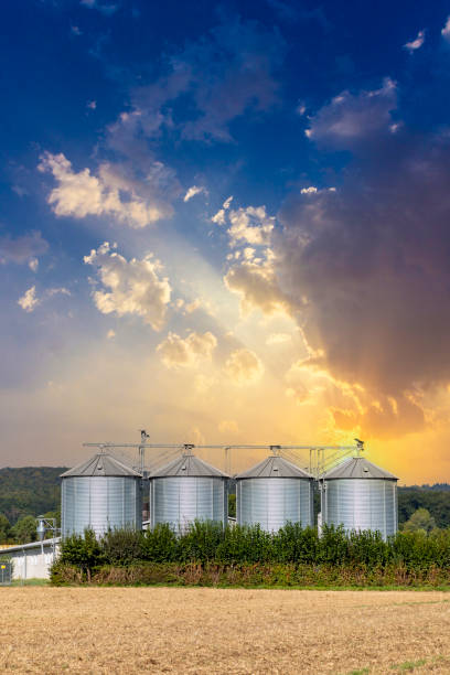 istock four silos in rural area at the field in spring time 2155196465