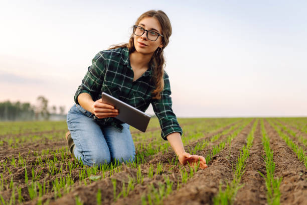 istock Woman Farmer on a green wheat field with a tablet in his hands. 2155203455