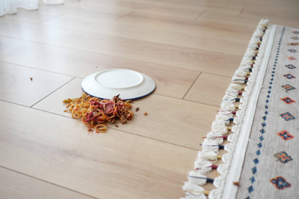istock Spaghetti and sauce spilled on floor. 2155204315