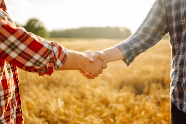 istock Handshake two farmer on the background of a wheat field at sunset. 2155207332