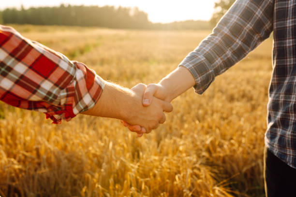 istock Handshake two farmer on the background of a wheat field at sunset. 2155207341