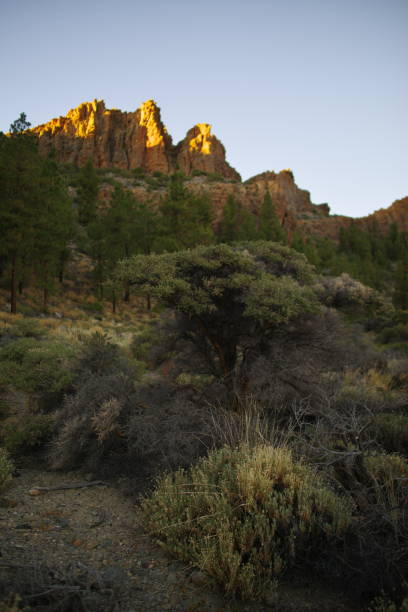 istock Hiking path in the desert in Tenerife 2155209728