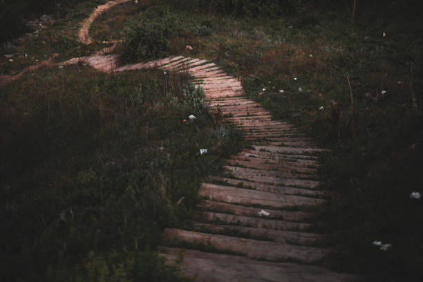 Wood Stairs on a Trail in the Forest