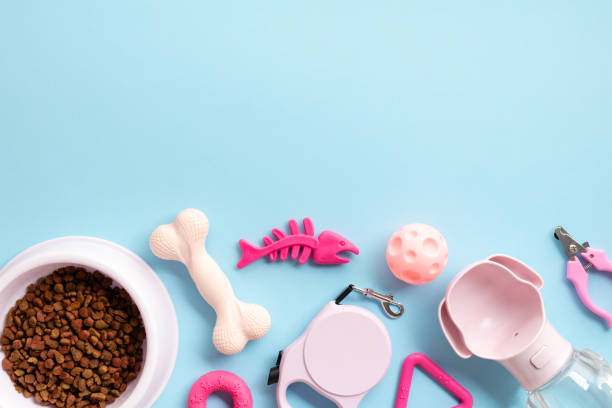 istock Flat Lay Pet Care supplies on a soft blue background. Top view nutritious brown kibble in a bowl, bone and fish-shaped toy, pink leash, handy water bottle, ball, scissors. Pet care, grooming concept. 2155210488