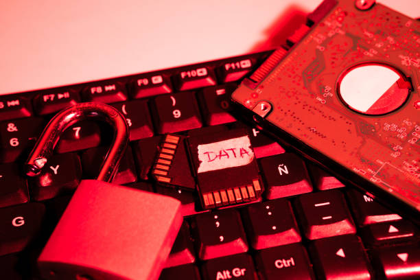 istock Data protection, a couple of hard drives with a padlock 2155218427