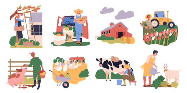 stockillustraties, clipart, cartoons en iconen met vector set of people farm workers - farmer