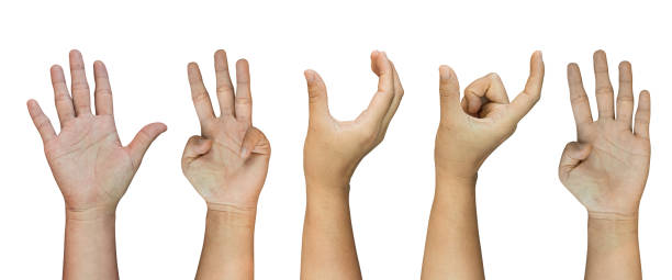 istock Set of hand gestures Isolated on white background, clipping path. 2155231655