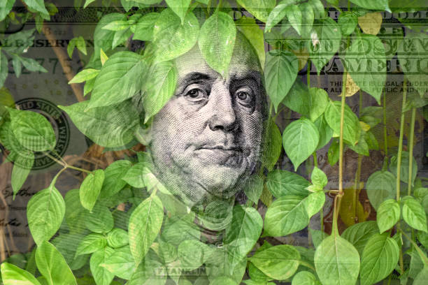 istock Conceptual American one hundred dollar bill 2155233039