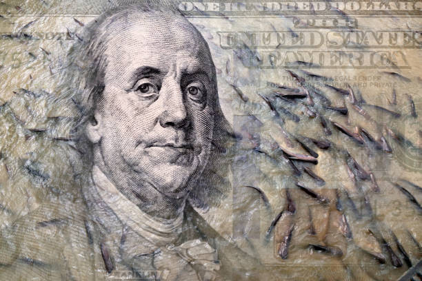 istock Conceptual American one hundred dollar bill 2155233089