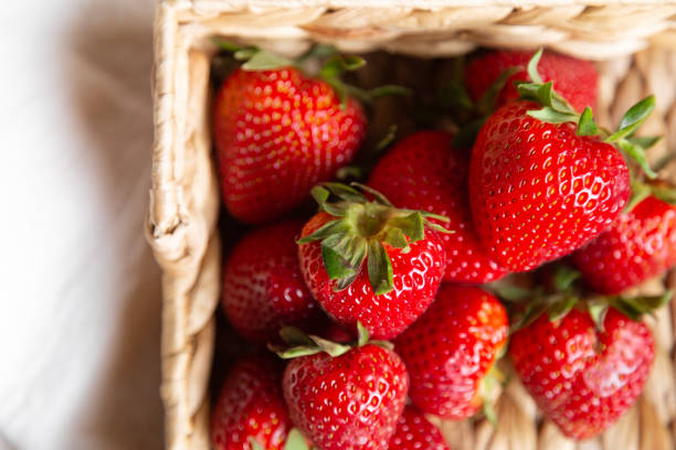 Juicy red garden strawberries in a basket on a green grass
